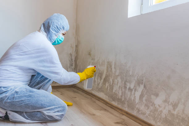 Licensed Crawl Space Mold Removal service in Aldie, VA - WQB Mold Removal