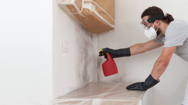Professional Crawl Space Mold Removal technician working in Aldie, VA