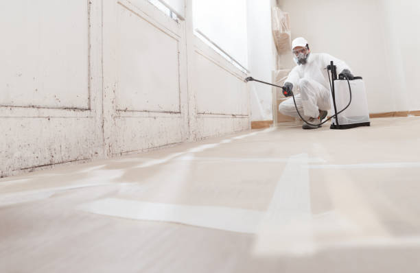 24/7 Emergency Crawl Space Mold Removal experts in Aldie, VA