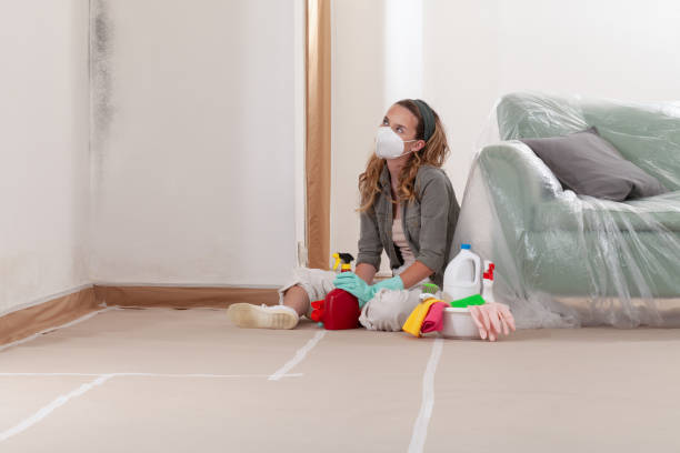 Reliable Crawl Space Mold Removal contractor in Aldie, VA by WQB Mold Removal