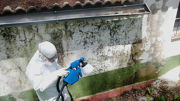 Top rated local Crawl Space Mold Removal specialists in Aldie, VA